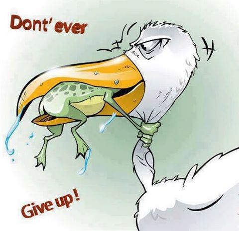 Don’t Give Up On Your Dreams!