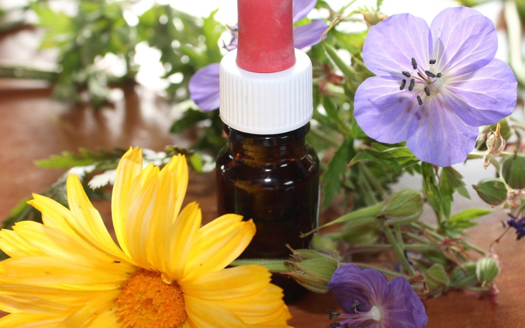 Using Essential Oils in a Diffuser for Aromatherapy